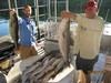 (09/02/2018) - Nice Striped Bass